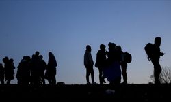 Türkiye'ye göç edenlerin sayısı 2020'de yıllık bazda yüzde 49,7 azaldı