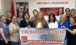 CHP Kadın Kolları: Kadın hakları için sandığa gidelim