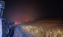 DİYARBAKIR - Lice ilçesinde çıkan orman yangınına müdahale ediliyor