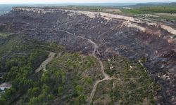 Yangında yaklaşık 500 hektar alan kül oldu