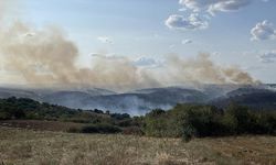Türkiye-Bulgaristan sınırında çıkan orman yangını nedeniyle önlem alındı