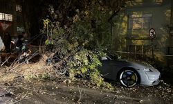 Rüzgar nedeniyle otomobil üzerine ağaç devrildi
