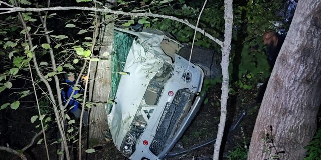 Artvin'de araç uçuruma yuvarlandı! 1 kişi öldü, 2 kişi yaralandı