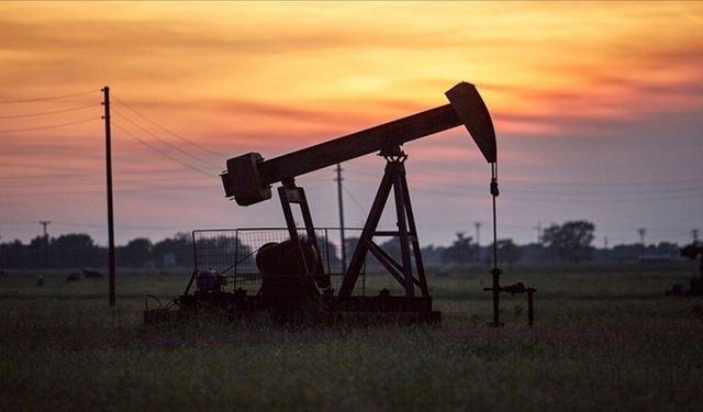 Brent petrolün fiyatı yüzde 4'ten fazla geriledi